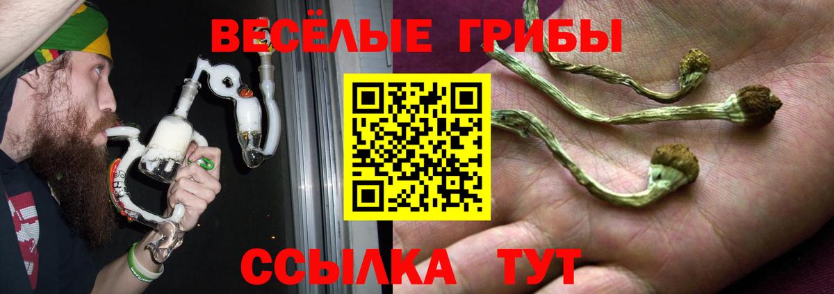 как найти закладки  Вход с VPN  Югорск  Галлюциногенные грибы мицелий 